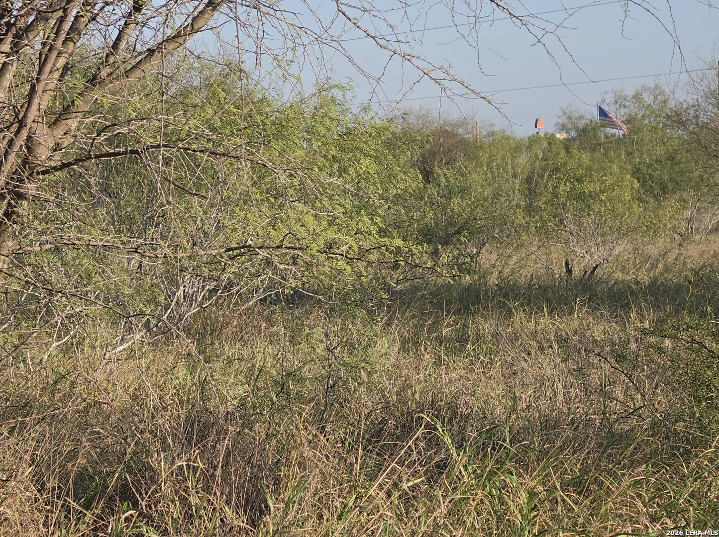 Photo 3 of Land for sale at 00 American, Cotulla, TX 78014 | MLS# 2022781 | Listing updated on 2026-10-10