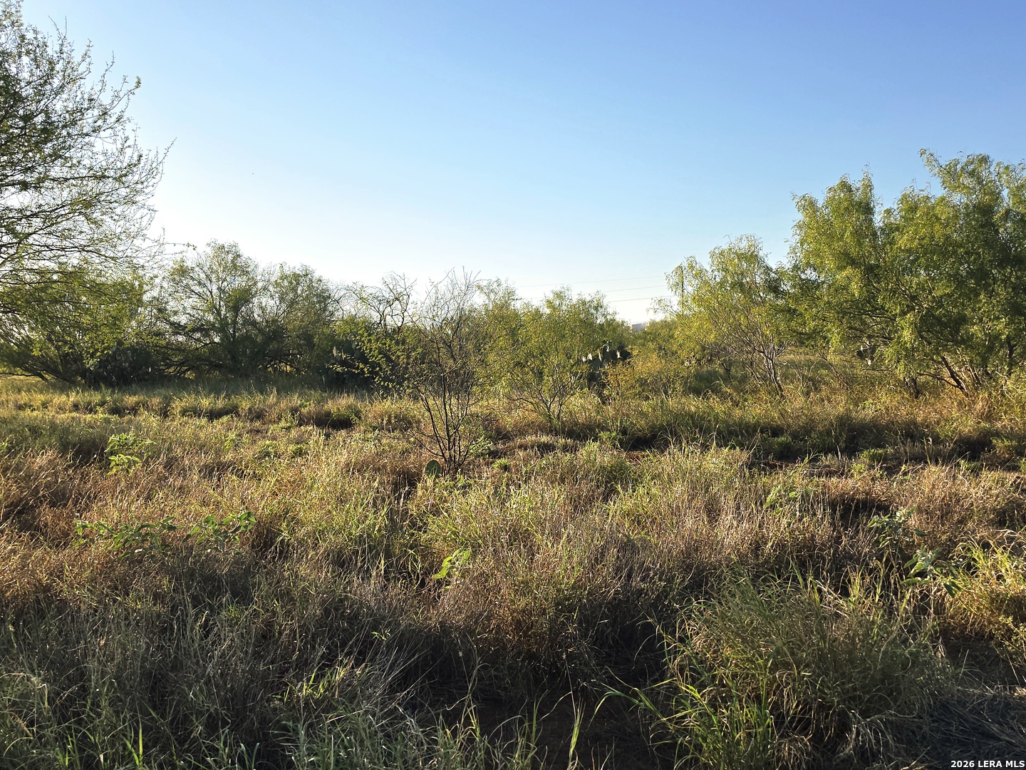 Property photo for 00 American, Cotulla, TX