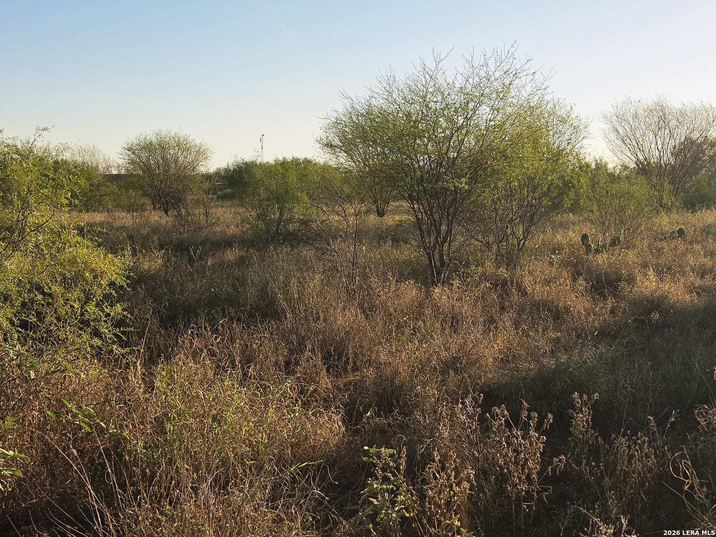 Photo 2 of Land for sale at 00 American, Cotulla, TX 78014 | MLS# 2022781 | Listing updated on 2026-10-10