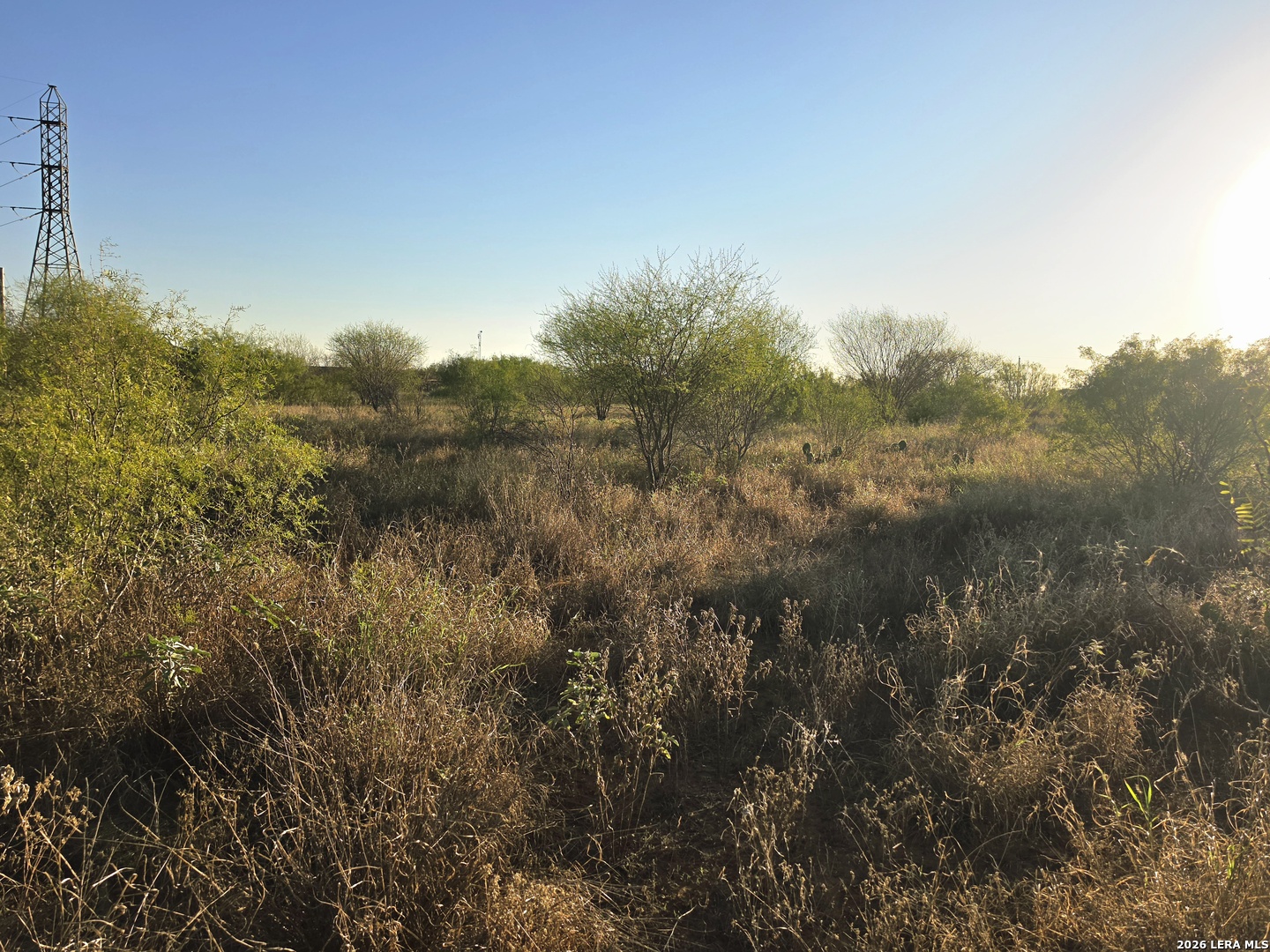 00 American, Cotulla, TX 78014