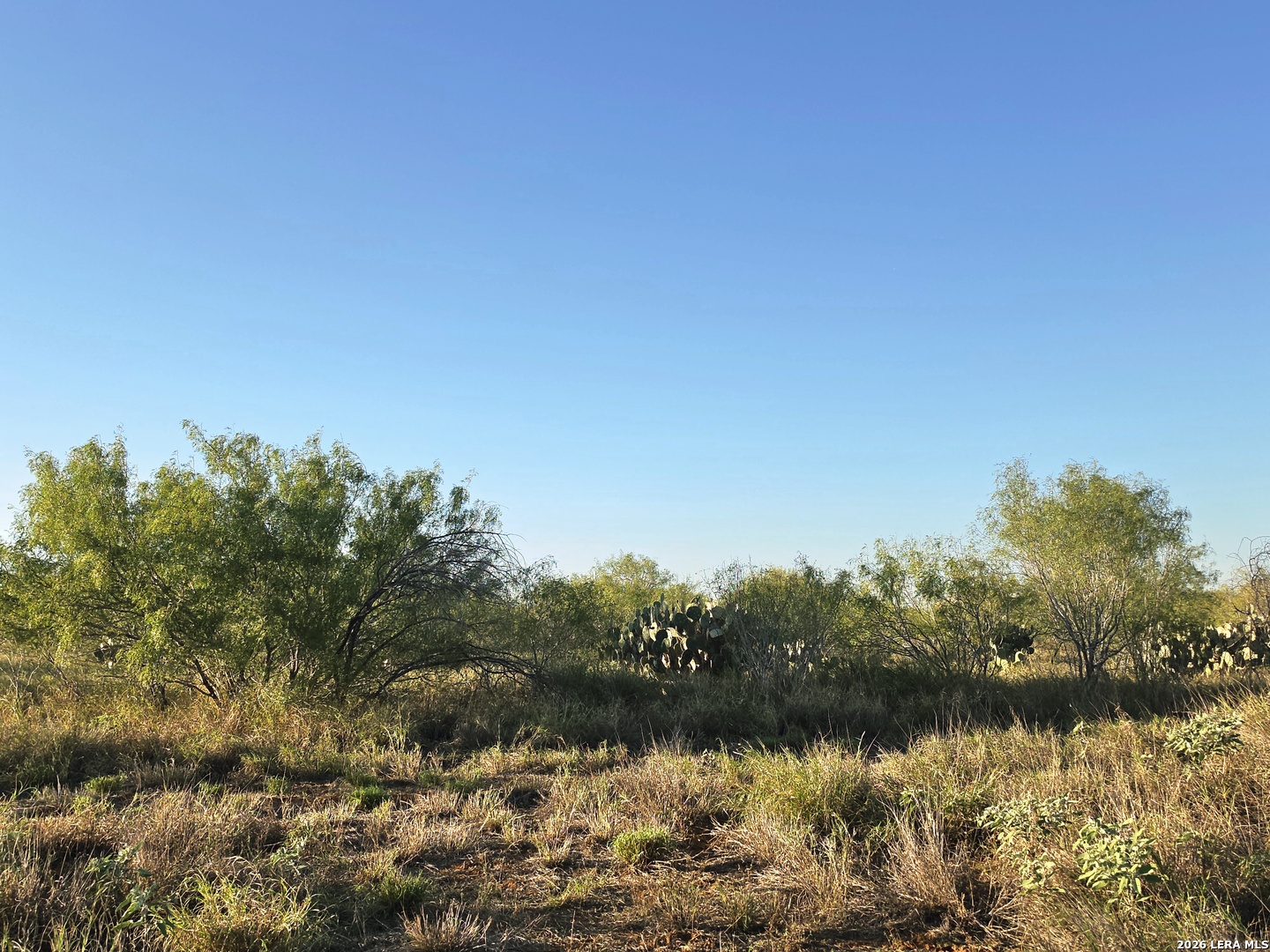 00 American, Cotulla, TX 78014