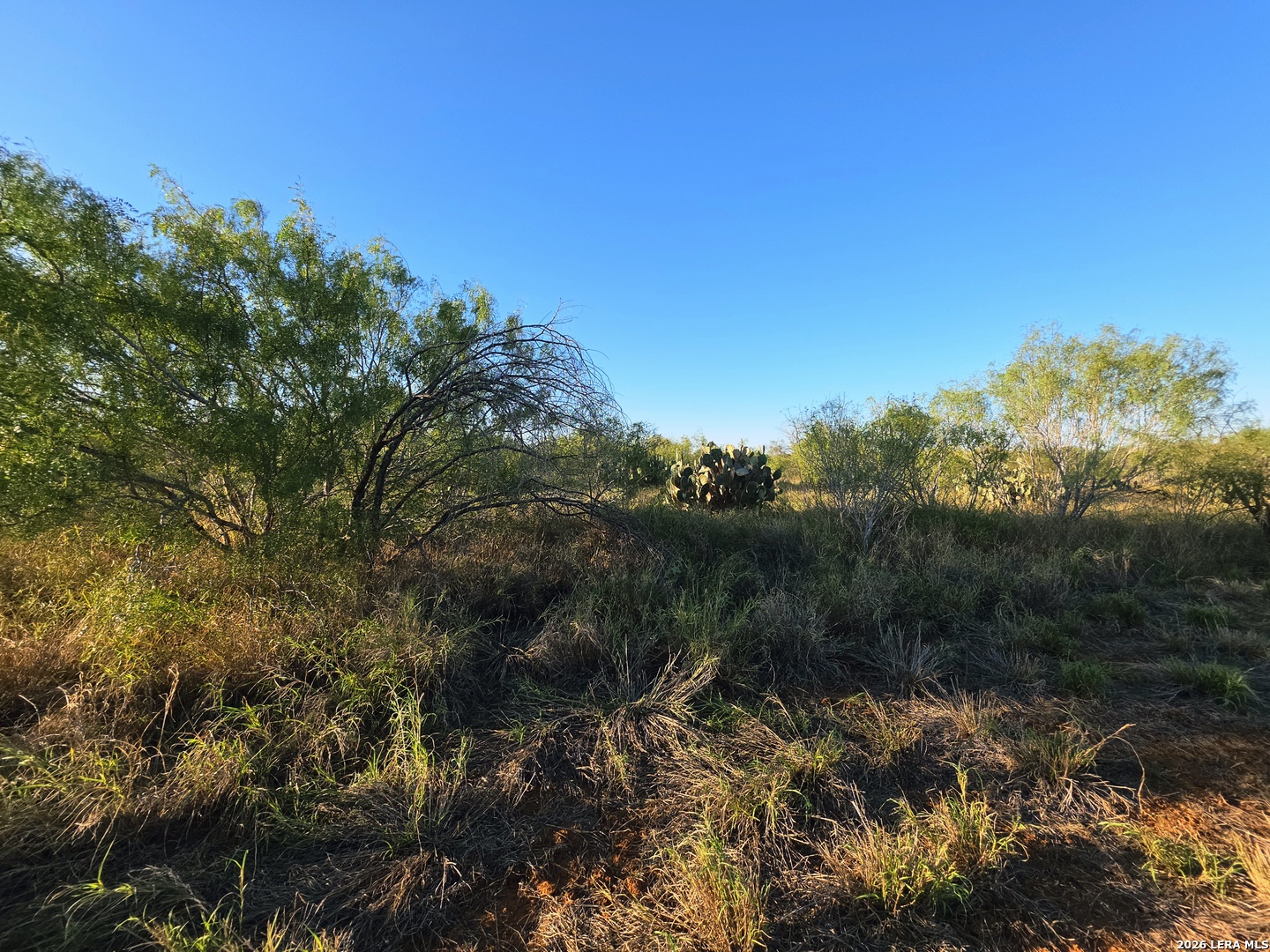 00 American, Cotulla, TX 78014