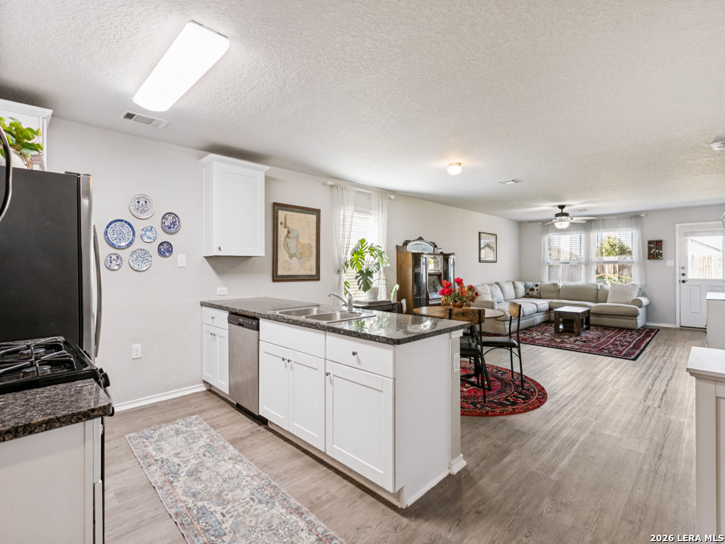 31553 ACACIA VIS, Bulverde, TX 78163
