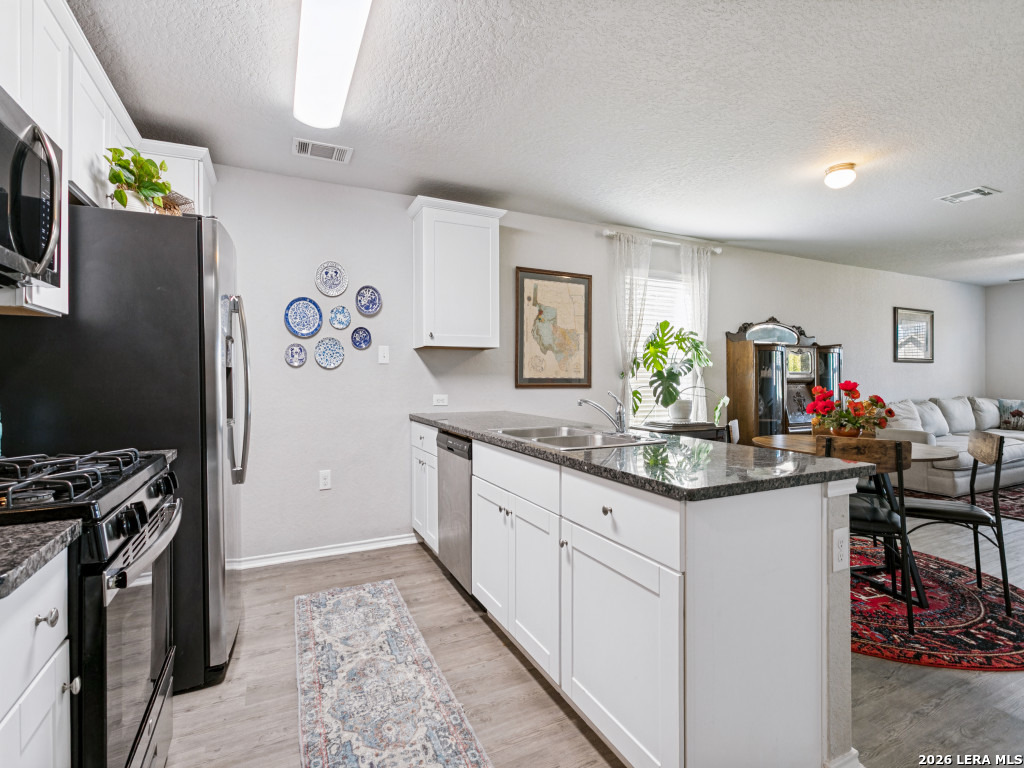 31553 ACACIA VIS, Bulverde, TX 78163