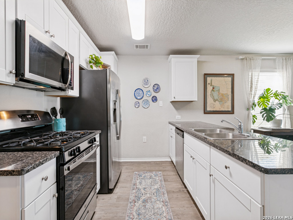 31553 ACACIA VIS, Bulverde, TX 78163
