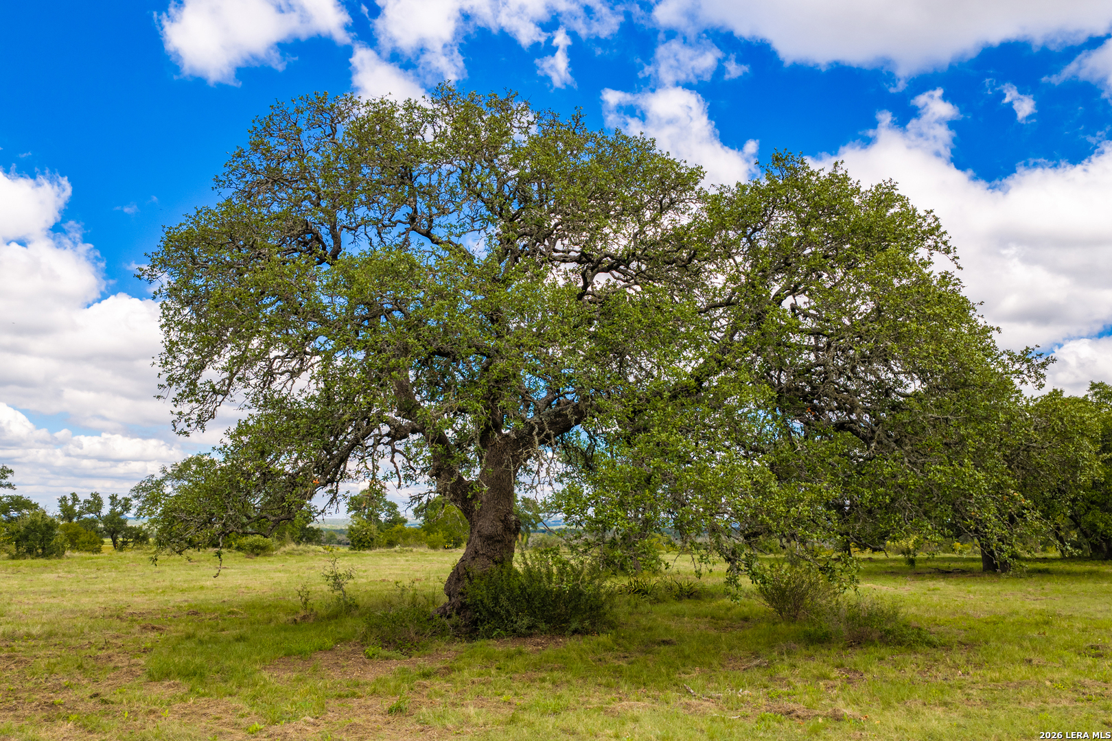 3145 N Grape Creek Rd, Fredericksburg, TX 78624