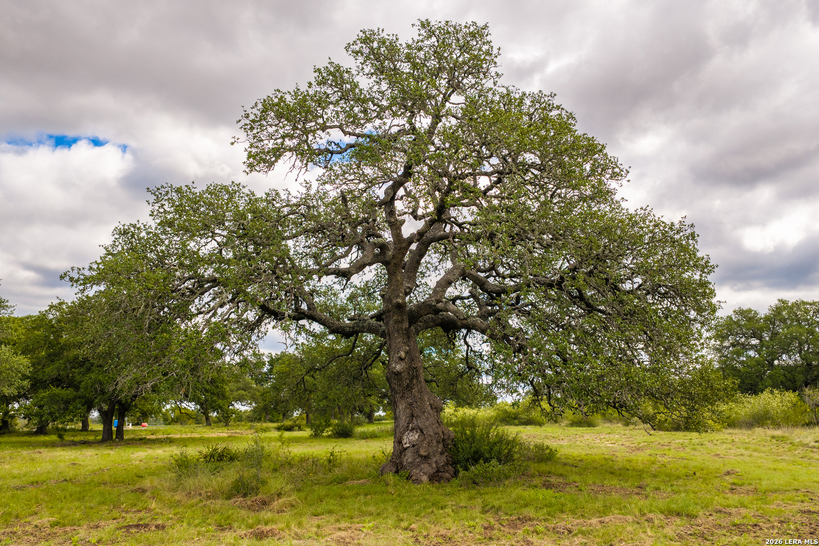 3145 N Grape Creek Rd, Fredericksburg, TX 78624