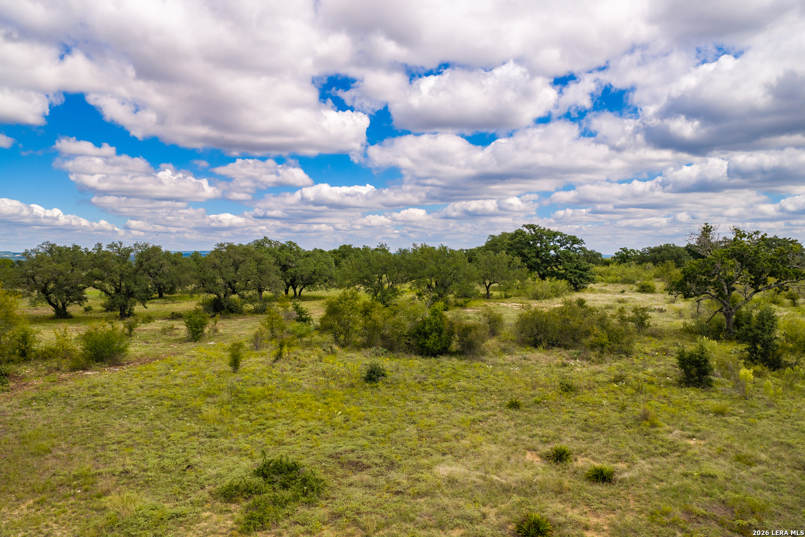 3145 N Grape Creek Rd, Fredericksburg, TX 78624
