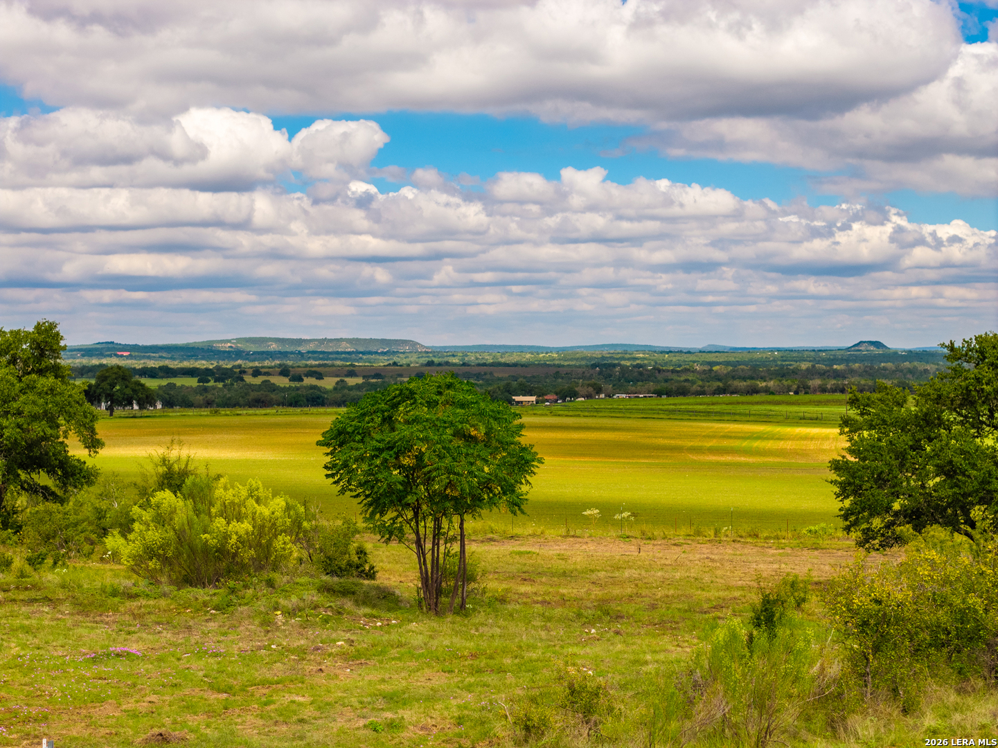 3145 N Grape Creek Rd, Fredericksburg, TX 78624