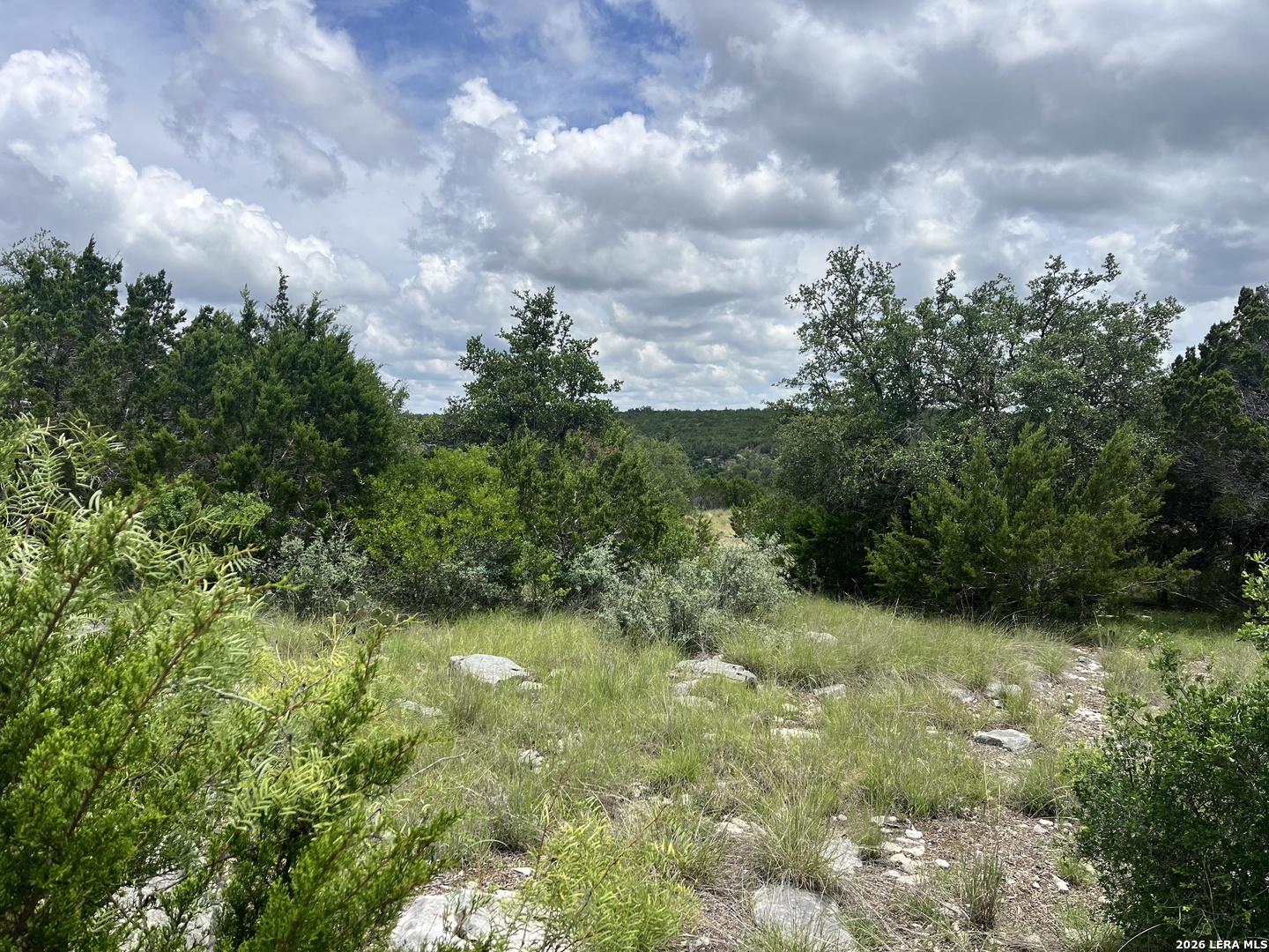 00 TBD, Junction, TX 76849