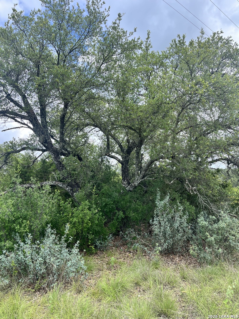 00 TBD, Junction, TX 76849