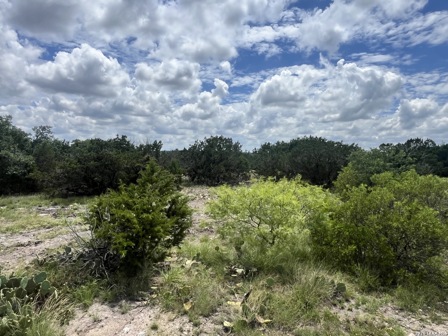 00 TBD, Junction, TX 76849
