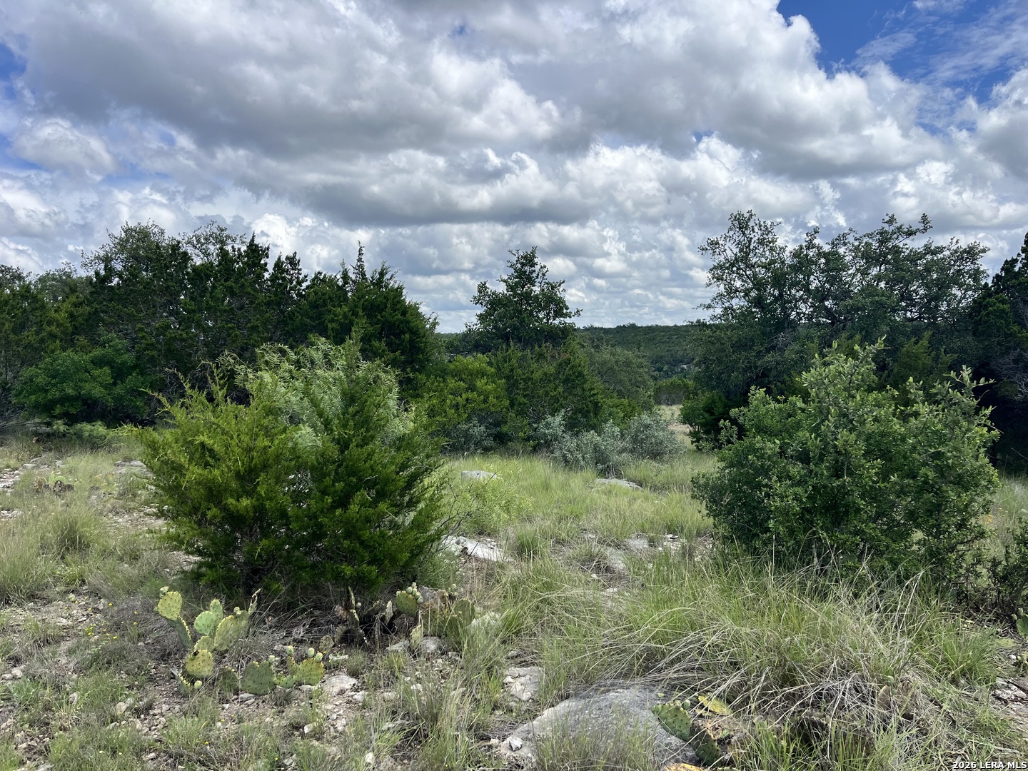 00 TBD, Junction, TX 76849