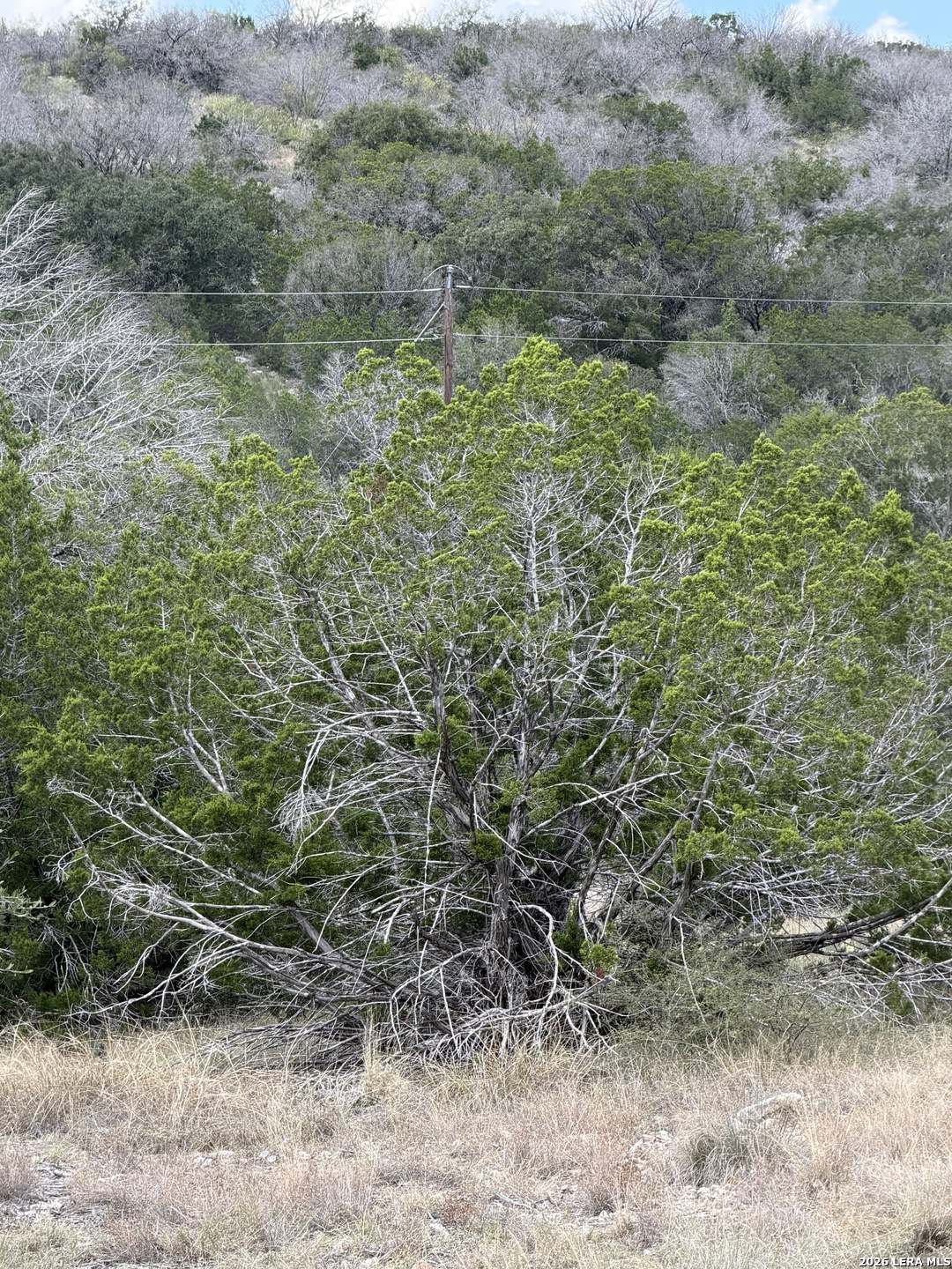 TBD SD45415, Rocksprings, TX 78880