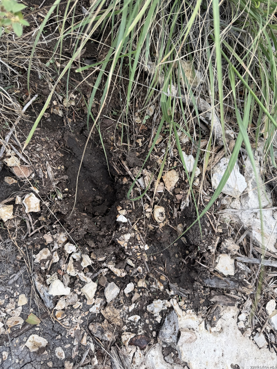 TBD SD45415, Rocksprings, TX 78880