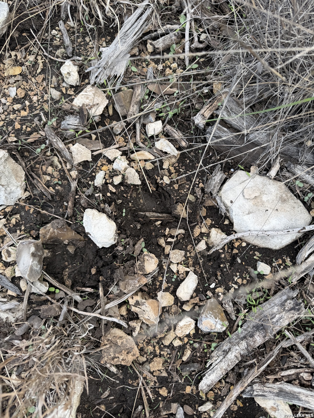 TBD SD45415, Rocksprings, TX 78880
