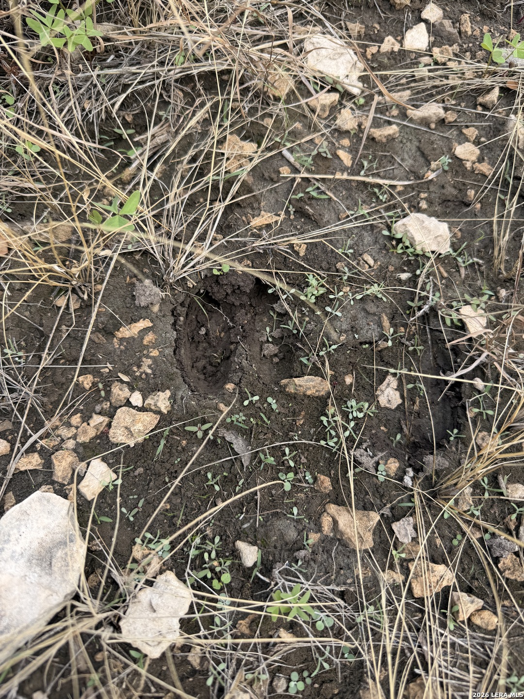 TBD SD45415, Rocksprings, TX 78880