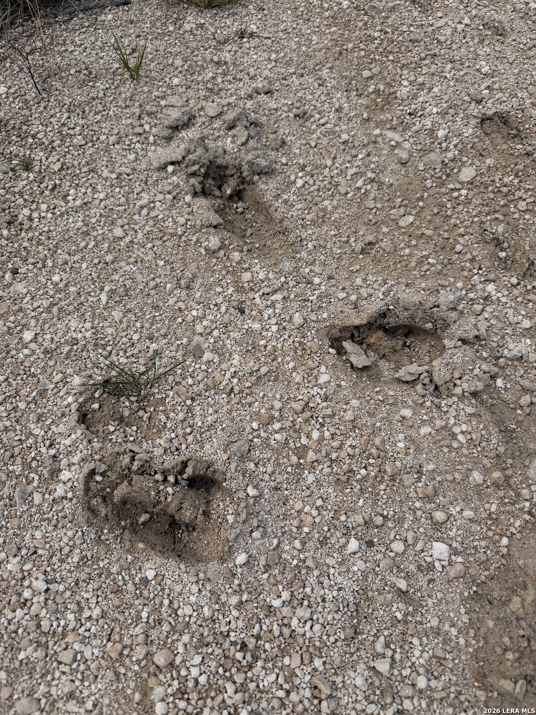 TBD SD45415, Rocksprings, TX 78880