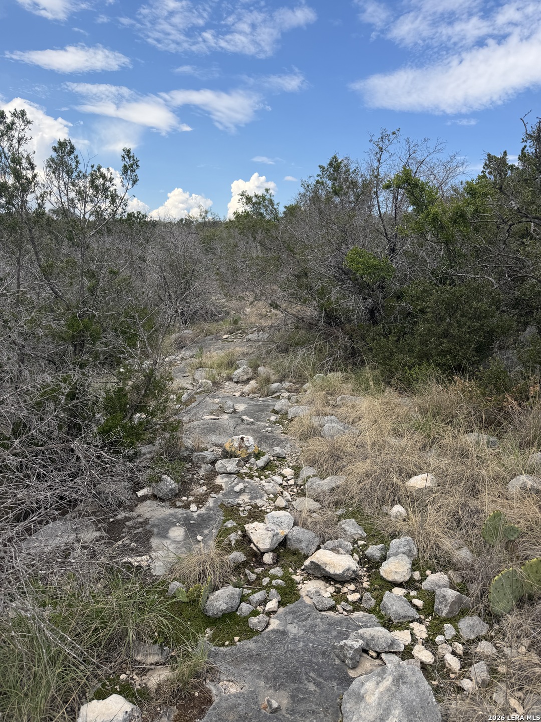 TBD SD45415, Rocksprings, TX 78880