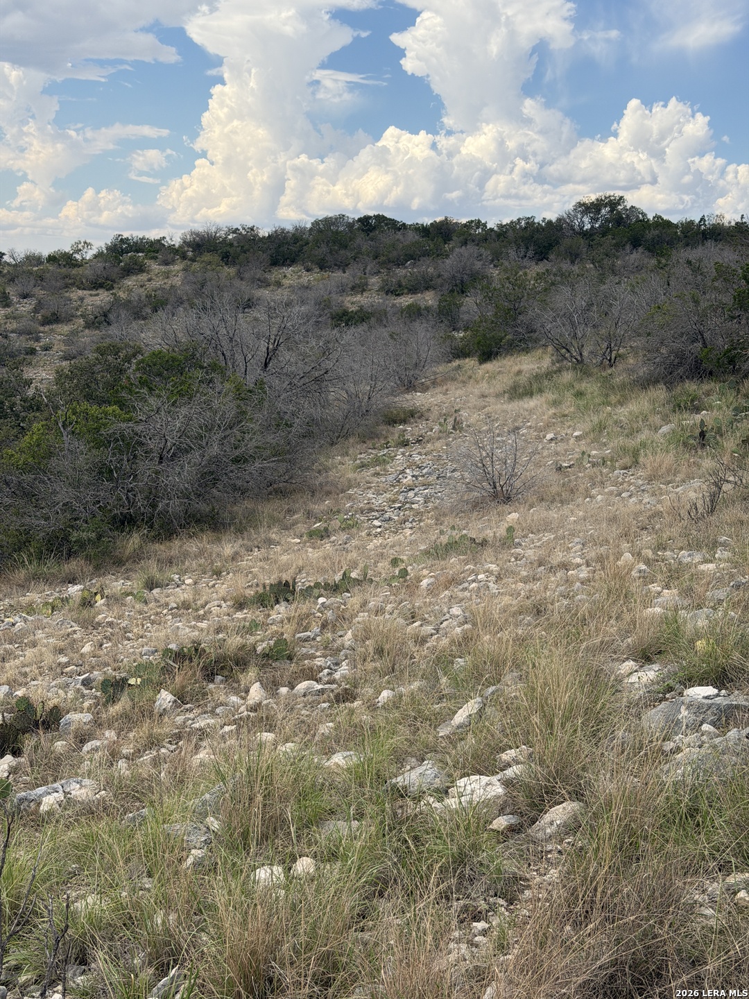 TBD SD45415, Rocksprings, TX 78880