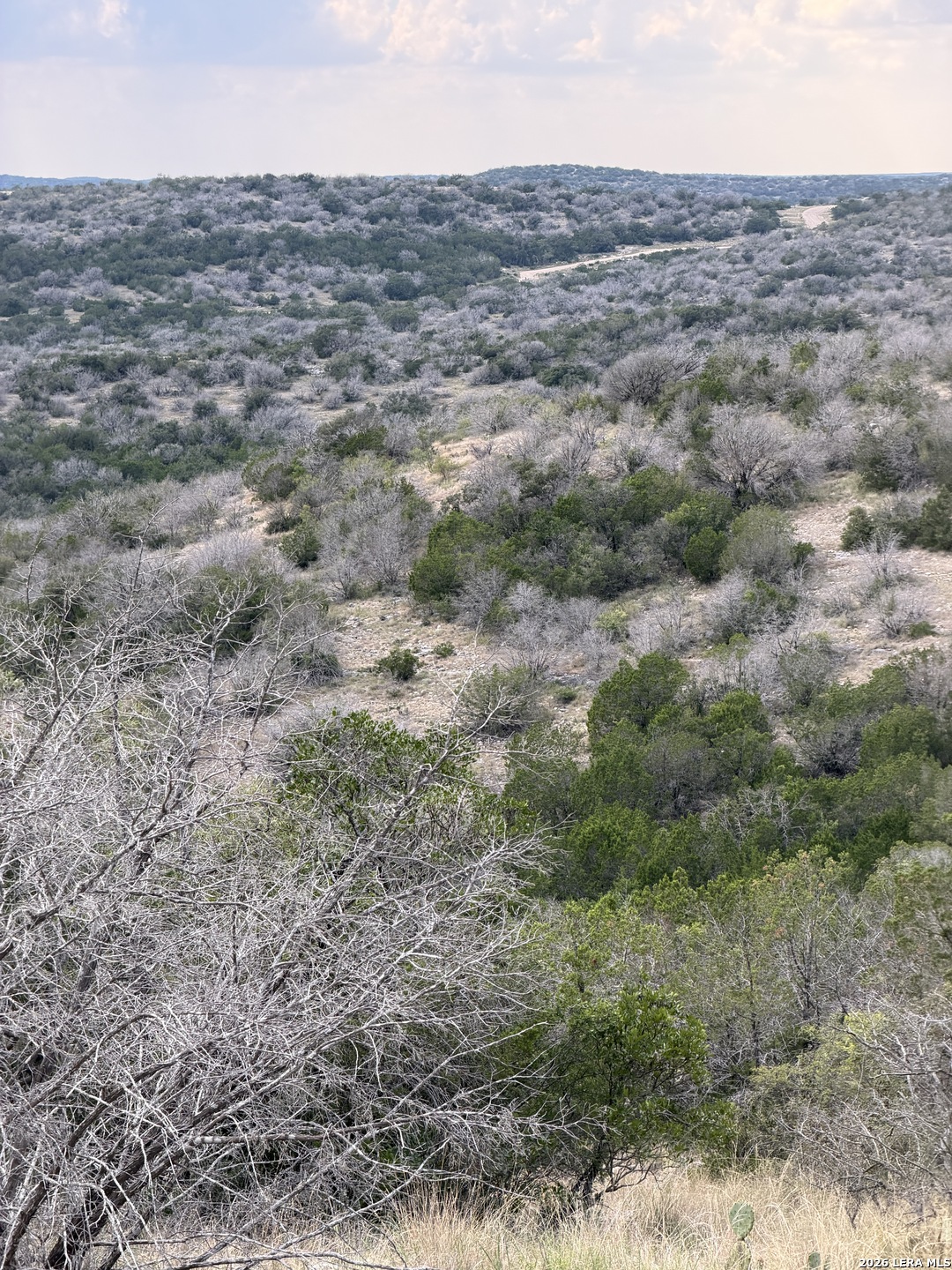 TBD SD45415, Rocksprings, TX 78880