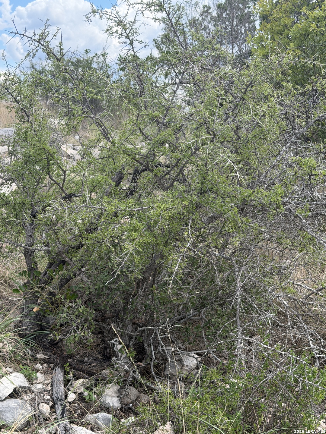 TBD SD45415, Rocksprings, TX 78880