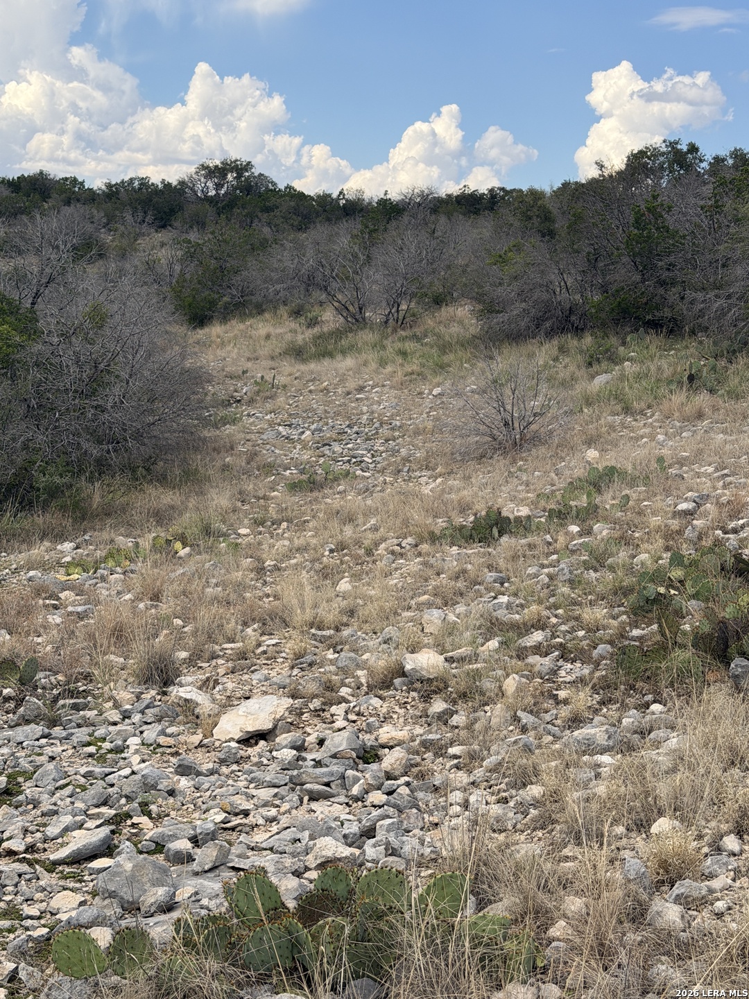 TBD SD45415, Rocksprings, TX 78880