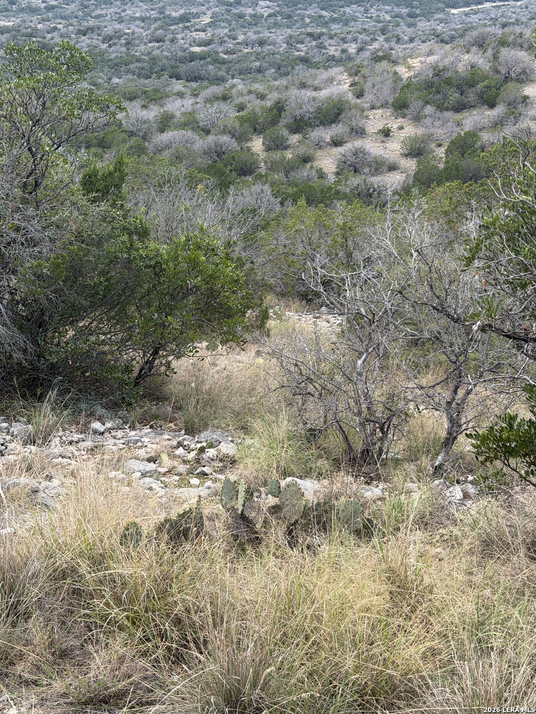 Property photo for TBD SD45415, Rocksprings, TX