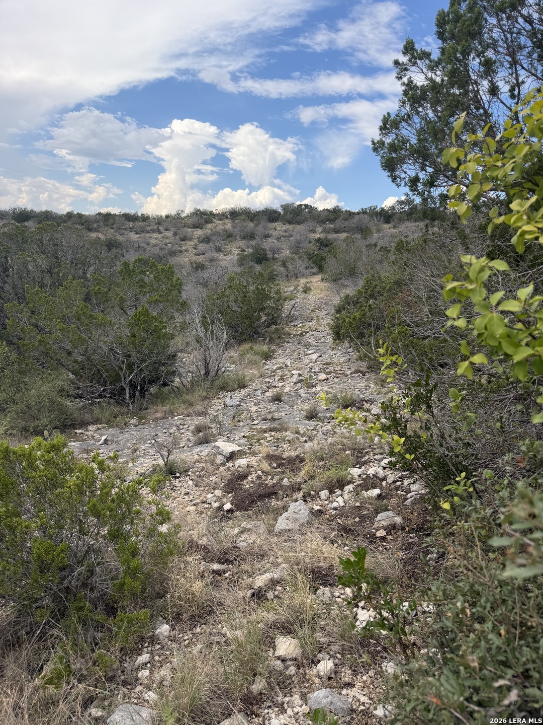 TBD SD45415, Rocksprings, TX 78880
