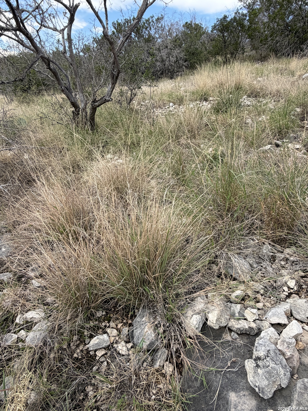 TBD SD45415, Rocksprings, TX 78880