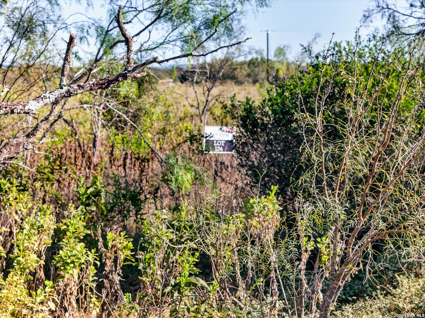 LOT 134 FM 1796, Dhanis, TX 78850