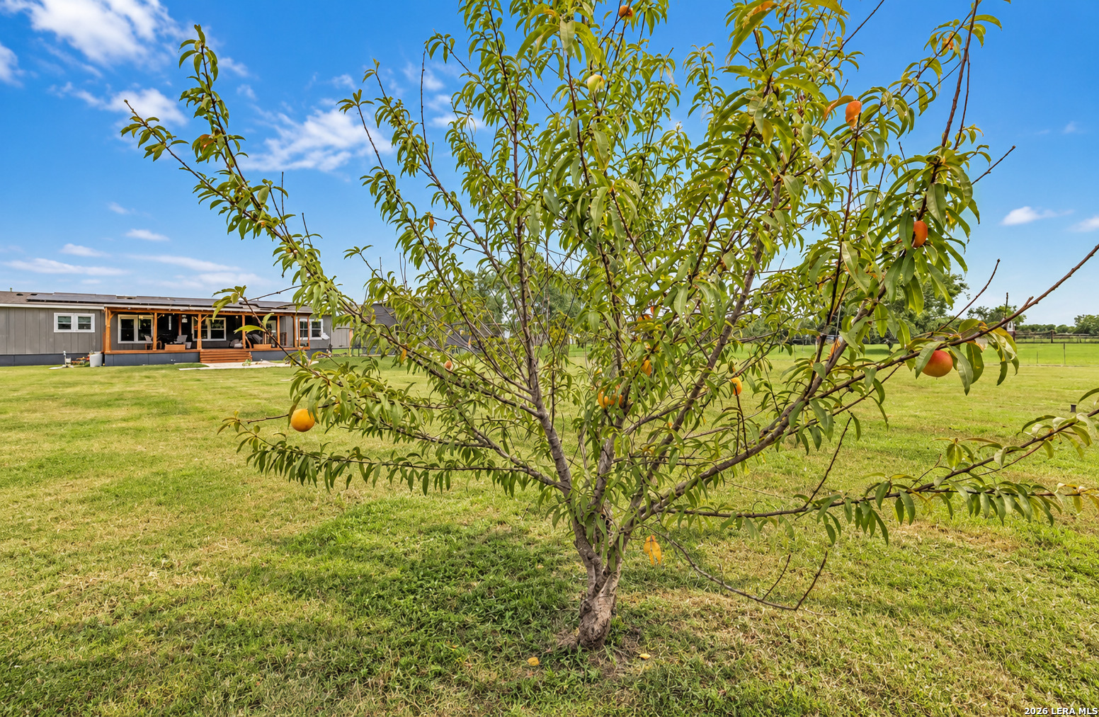 213 RIVER FRONT DR, Cedar Creek, TX 78612