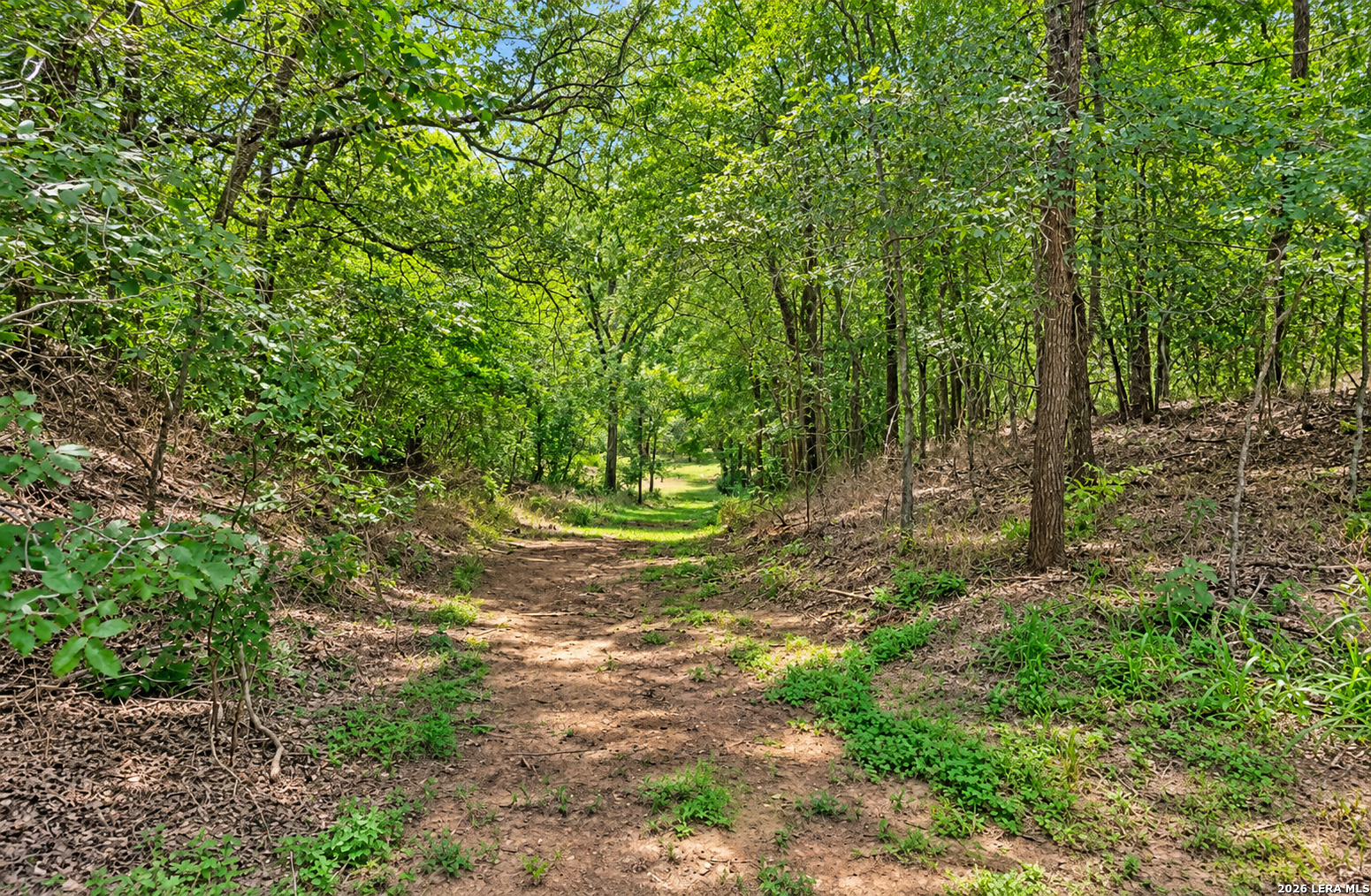 213 RIVER FRONT DR, Cedar Creek, TX 78612