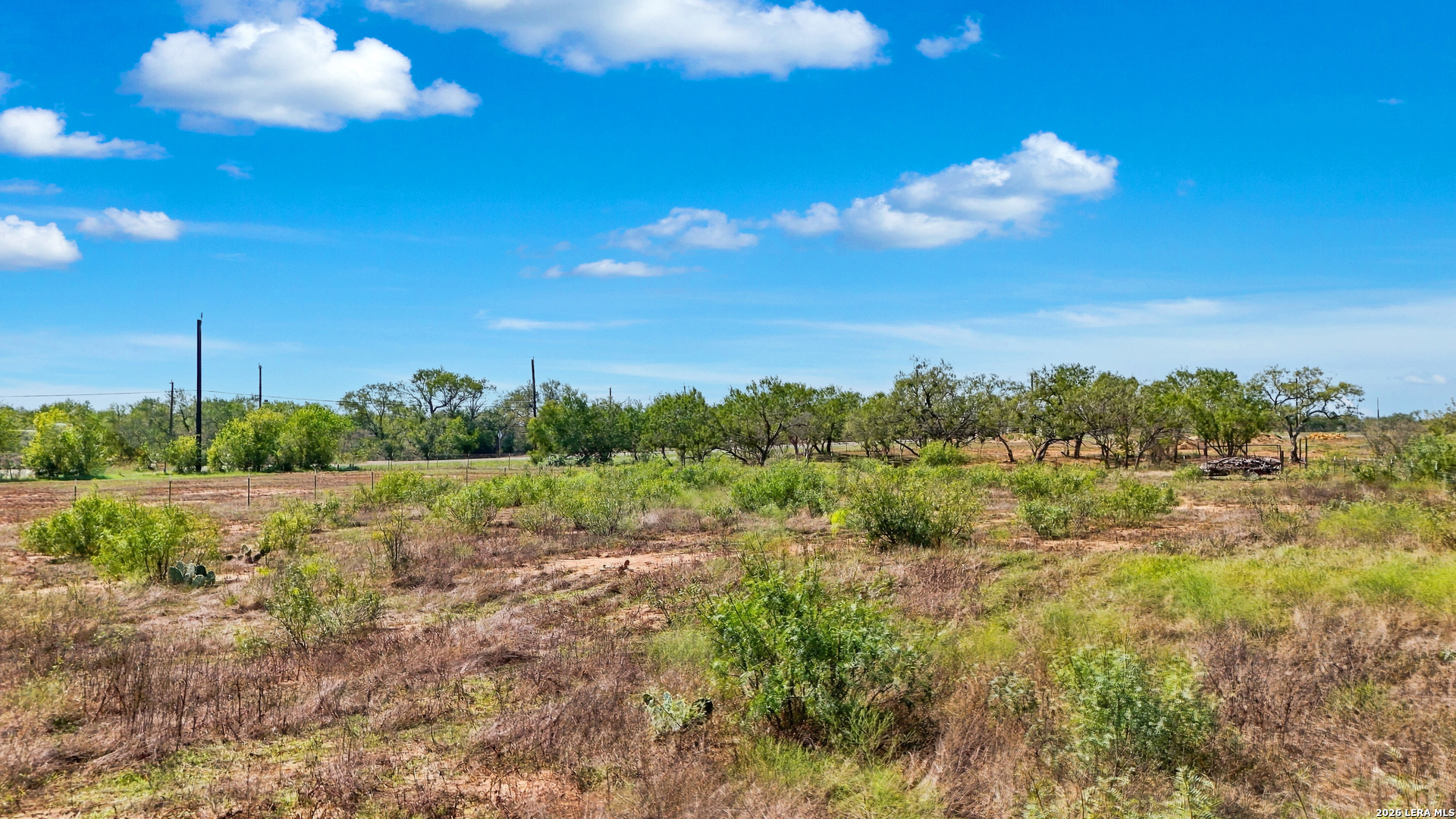10035 CROW LN, Adkins, TX 78101