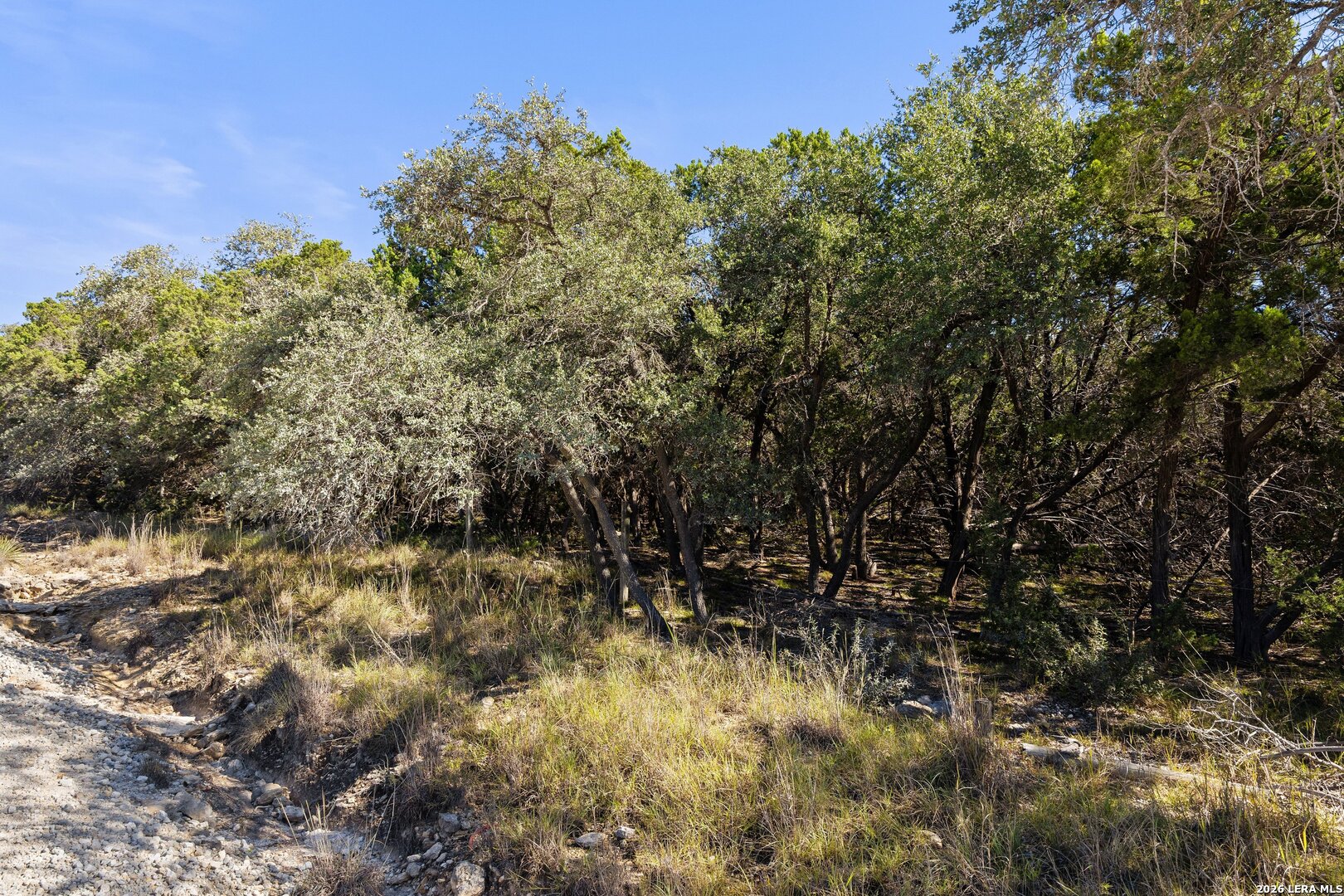 1770 Divide Pass, Blanco, TX 78606