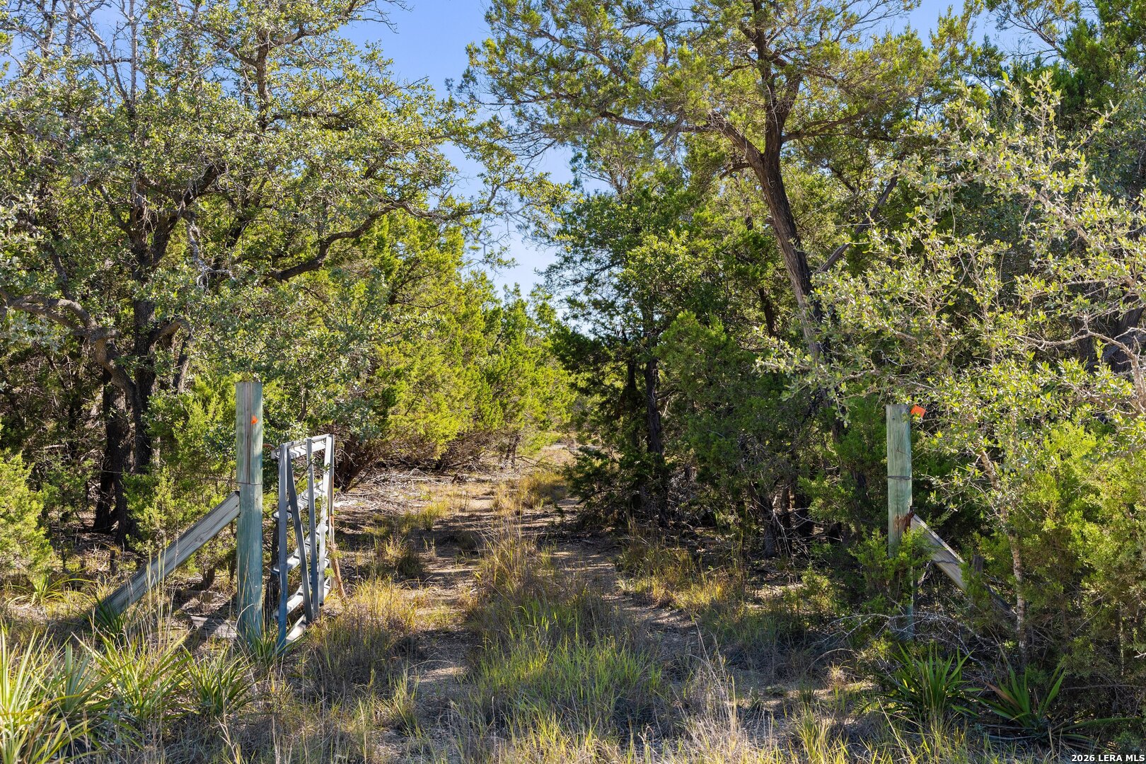 1770 Divide Pass, Blanco, TX 78606