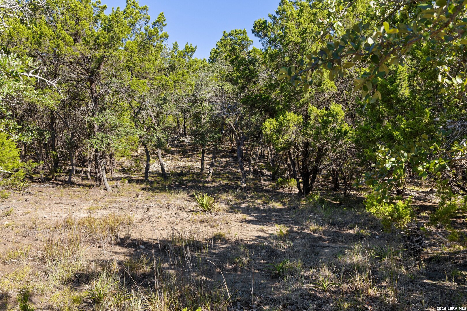 1770 Divide Pass, Blanco, TX 78606