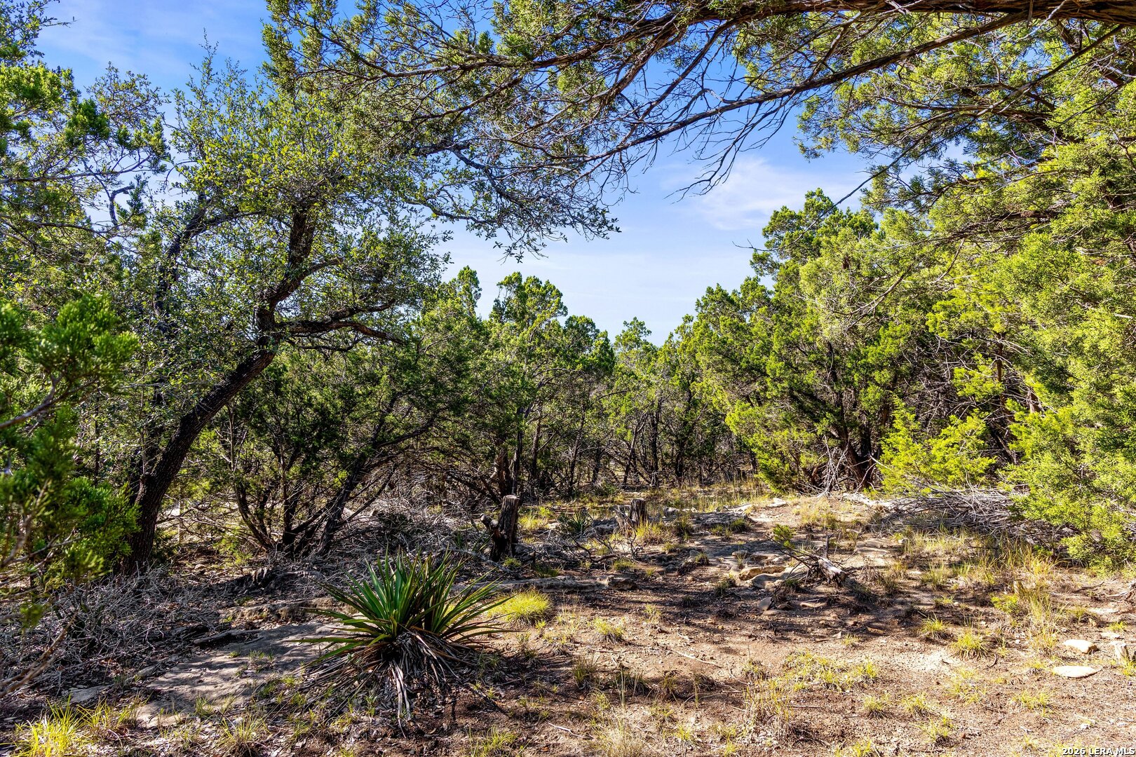 1770 Divide Pass, Blanco, TX 78606