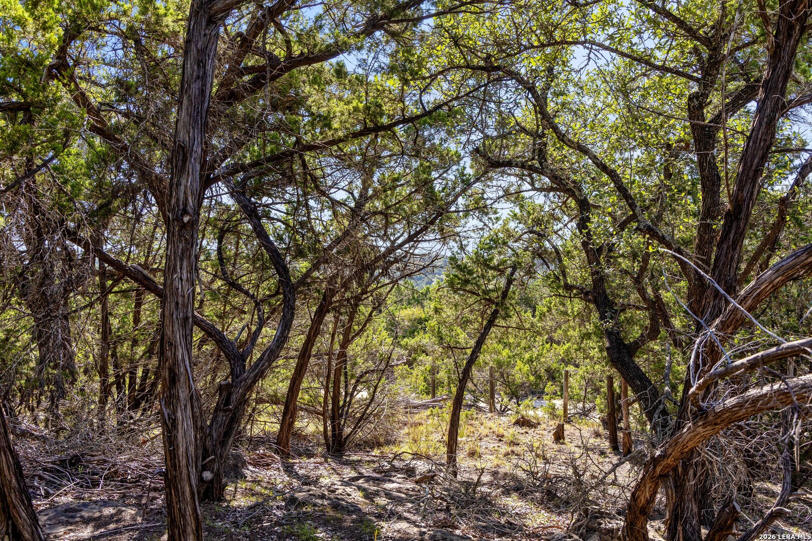 1770 Divide Pass, Blanco, TX 78606