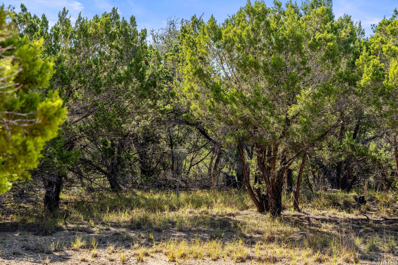 1770 Divide Pass, Blanco, TX 78606