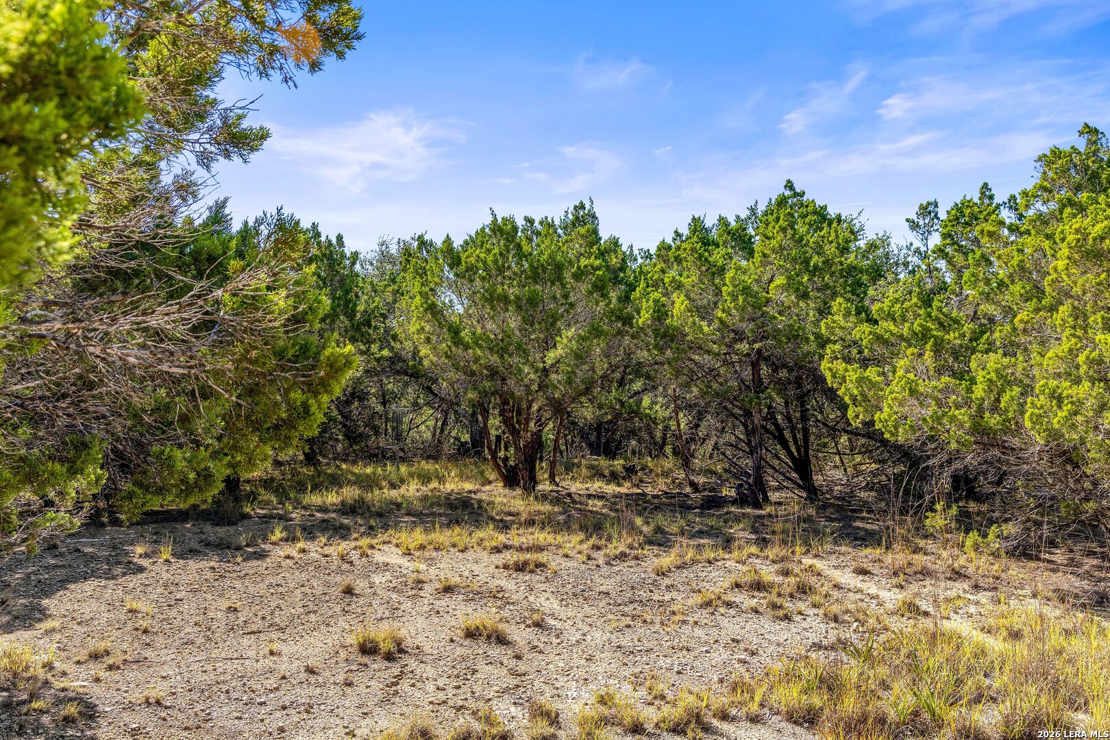 1770 Divide Pass, Blanco, TX 78606