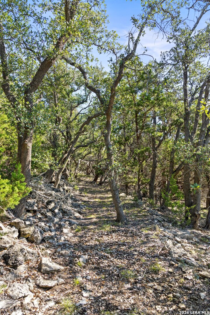 1770 Divide Pass, Blanco, TX 78606