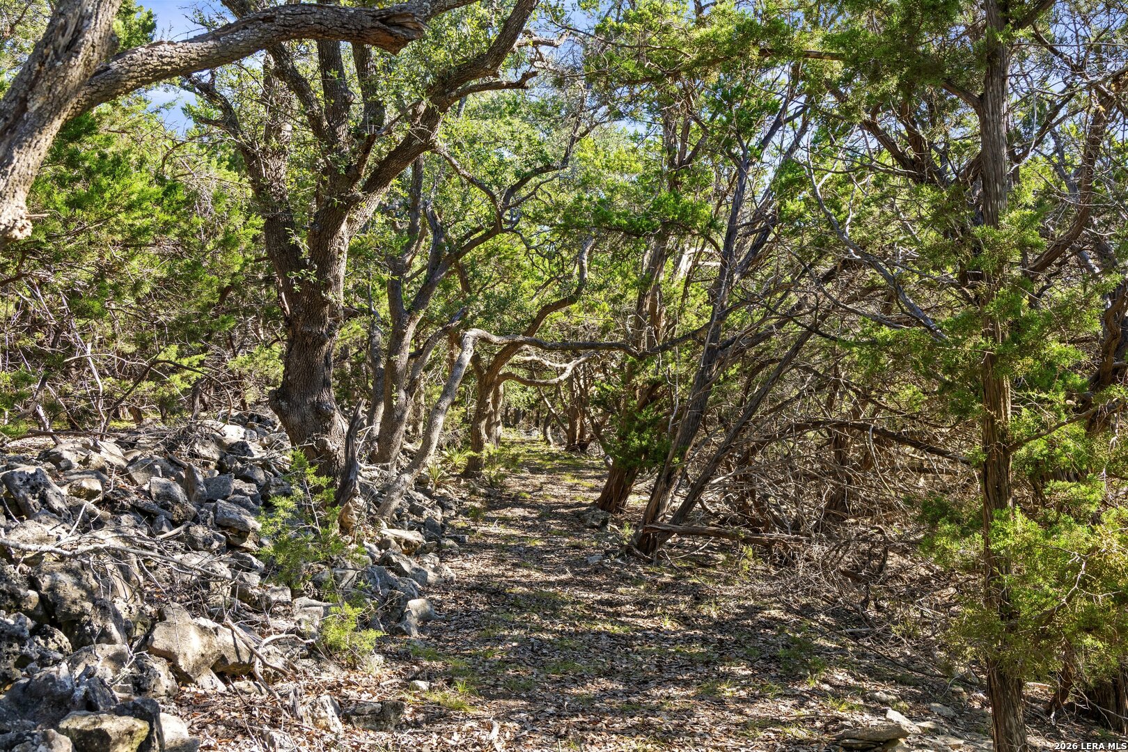 1770 Divide Pass, Blanco, TX 78606