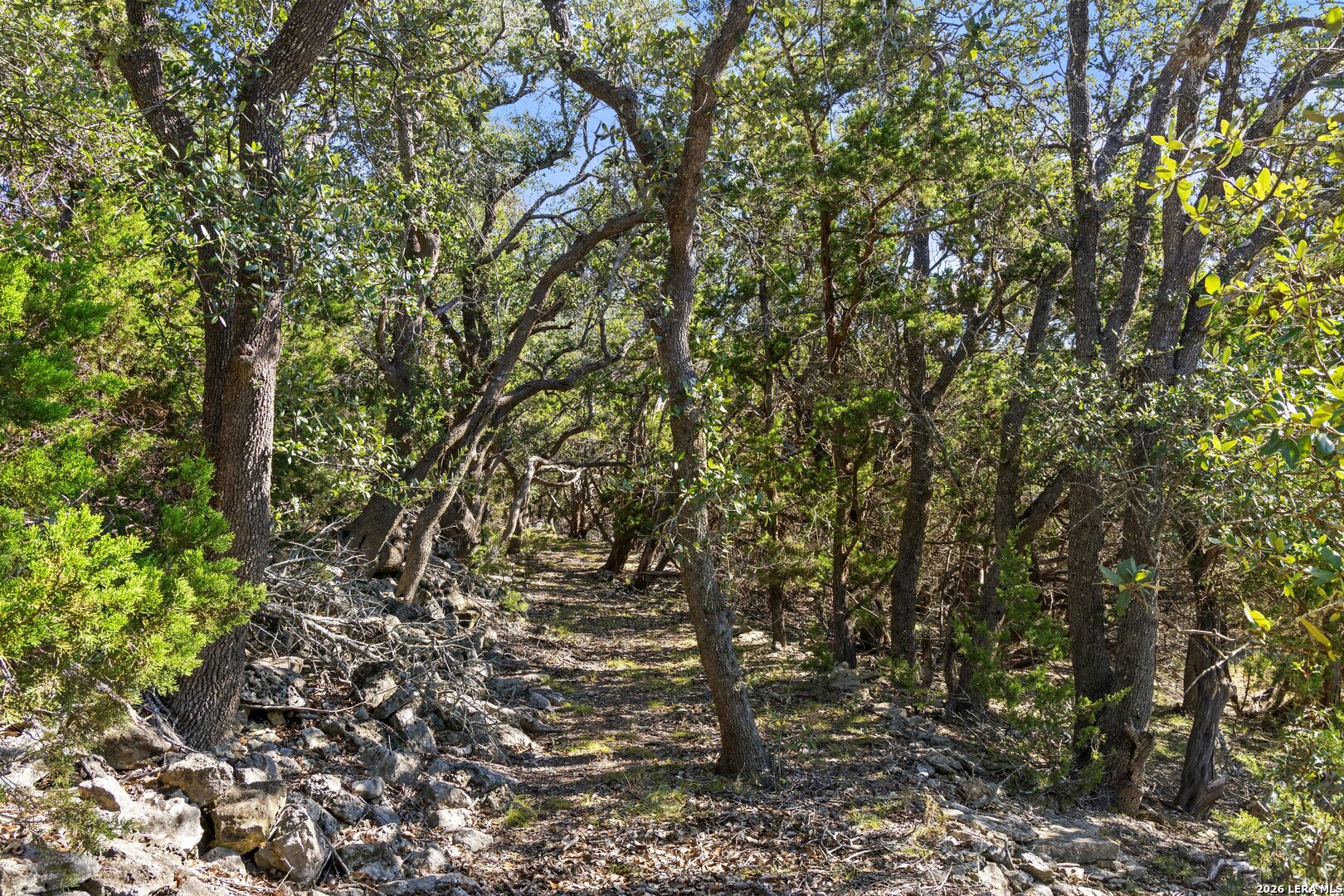 1770 Divide Pass, Blanco, TX 78606