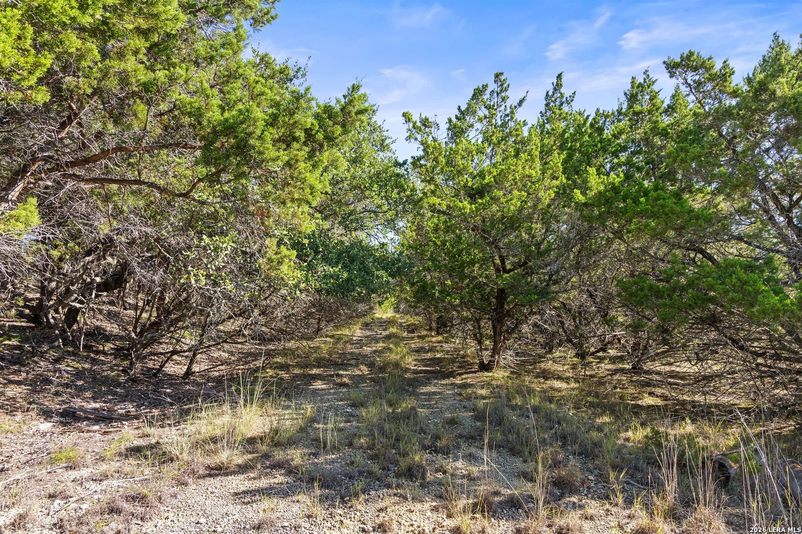 1770 Divide Pass, Blanco, TX 78606