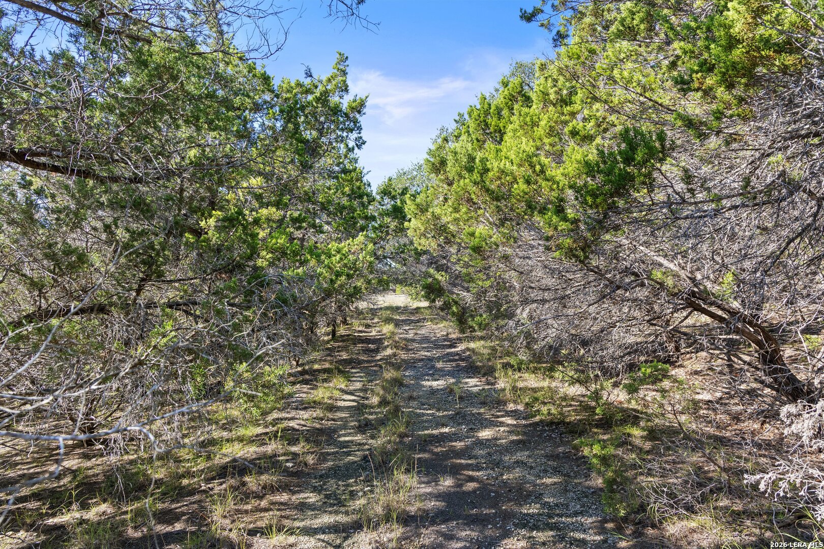 1770 Divide Pass, Blanco, TX 78606