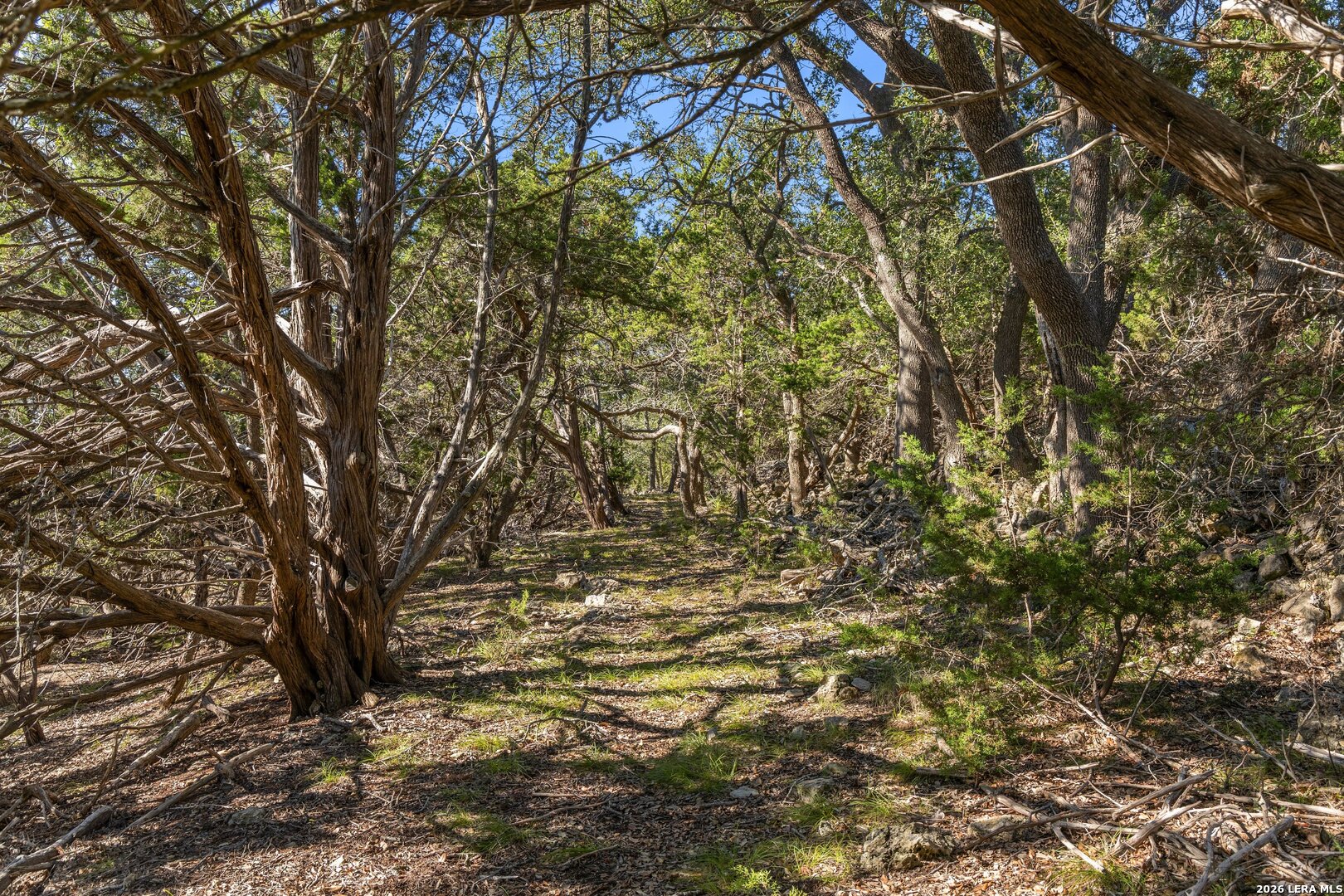 1770 Divide Pass, Blanco, TX 78606