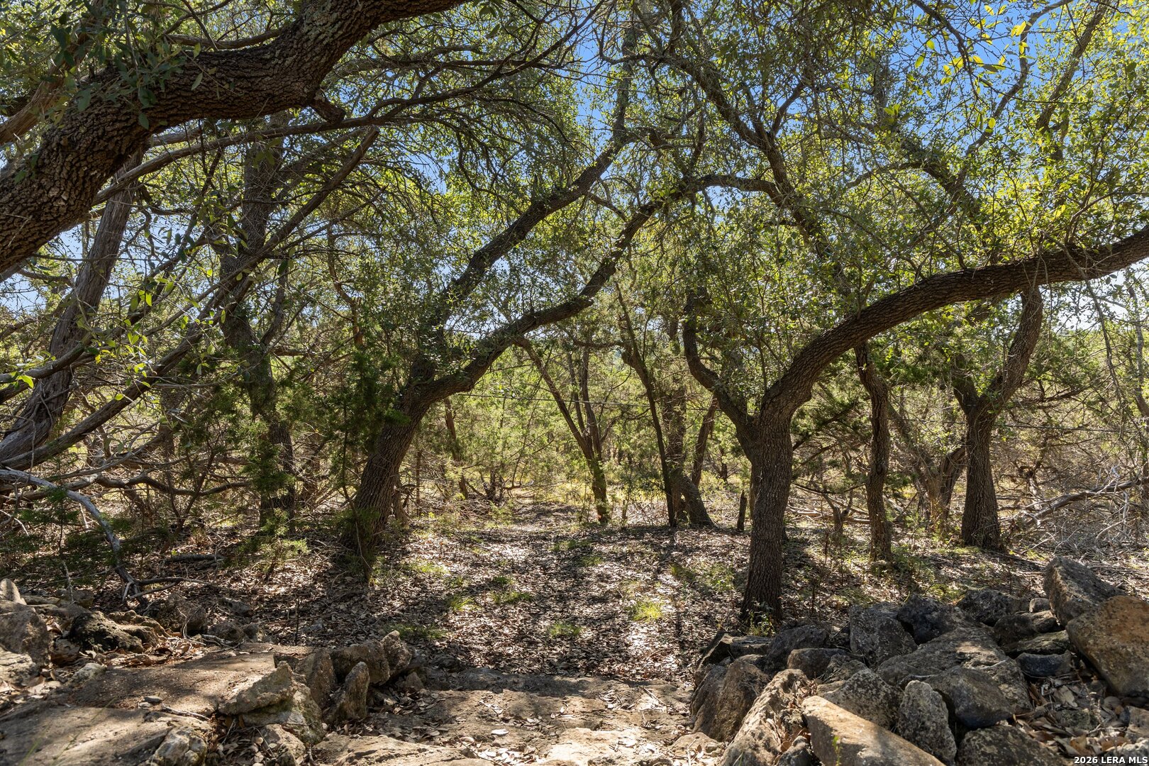 1770 Divide Pass, Blanco, TX 78606
