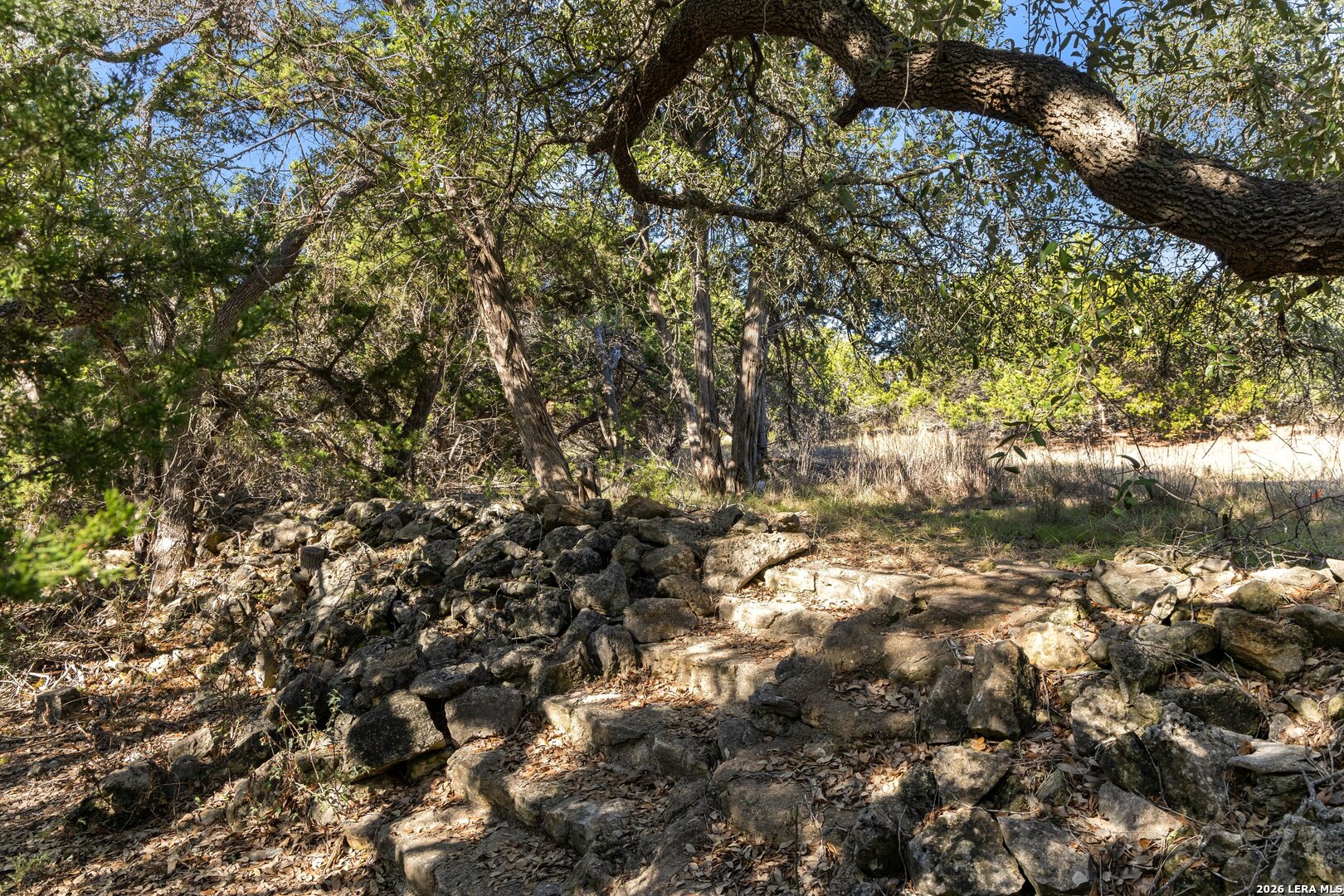 1770 Divide Pass, Blanco, TX 78606