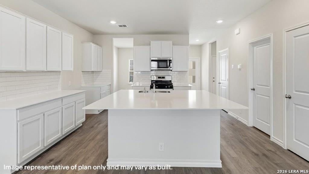 165 Armadillo Creek, San Antonio, TX 78245